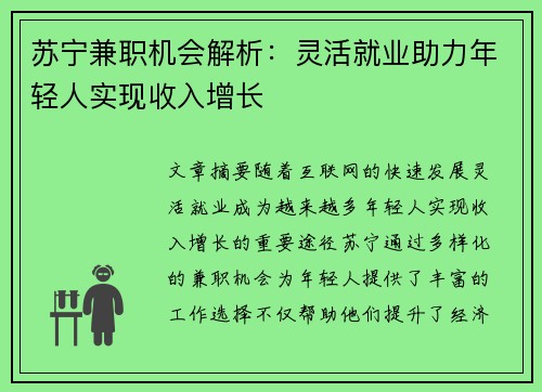 苏宁兼职机会解析：灵活就业助力年轻人实现收入增长