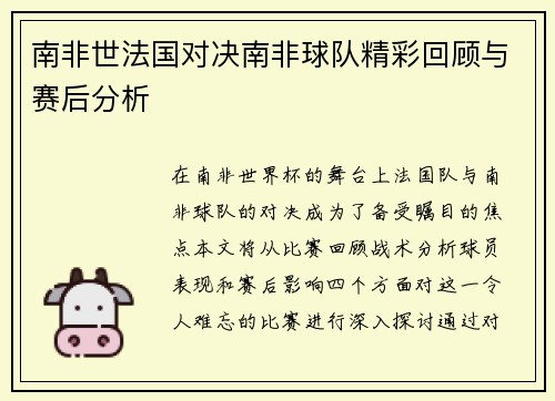 南非世法国对决南非球队精彩回顾与赛后分析